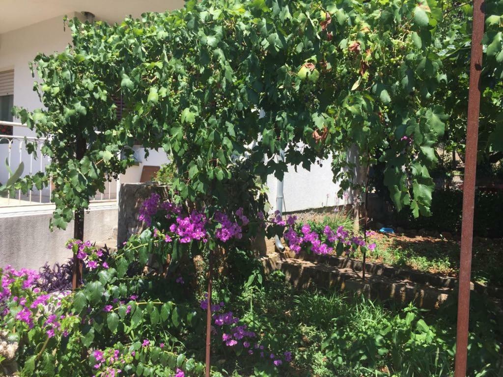 Appartamento Relax Garden Stari Grad  Esterno foto